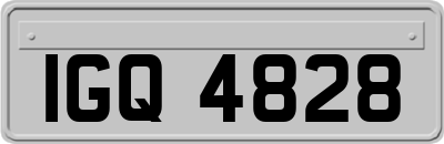 IGQ4828