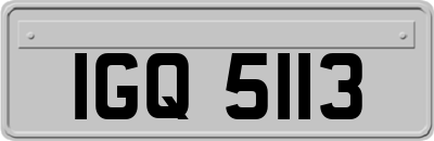 IGQ5113