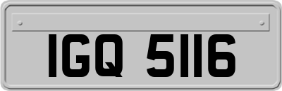IGQ5116