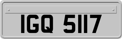IGQ5117