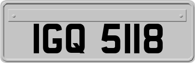 IGQ5118