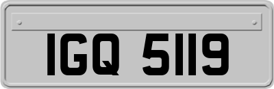 IGQ5119
