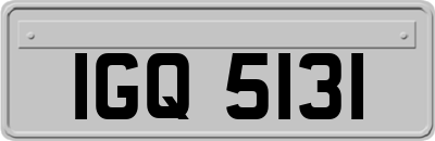 IGQ5131