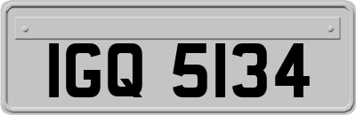 IGQ5134