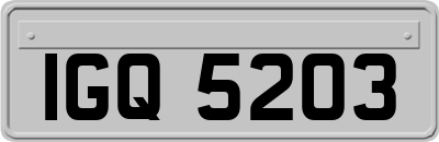 IGQ5203