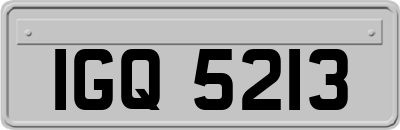 IGQ5213