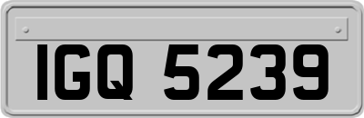 IGQ5239