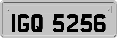 IGQ5256