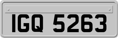 IGQ5263