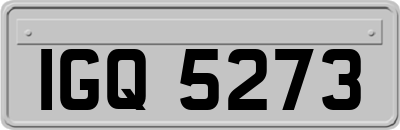 IGQ5273