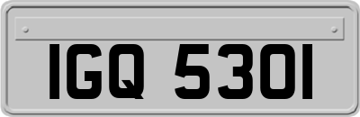 IGQ5301