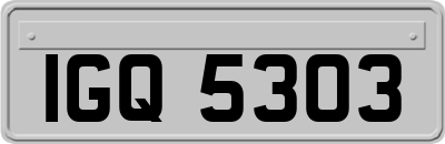 IGQ5303