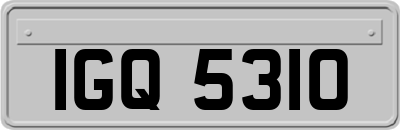 IGQ5310