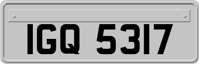 IGQ5317