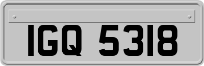 IGQ5318