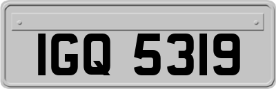 IGQ5319