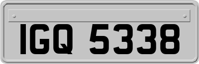 IGQ5338