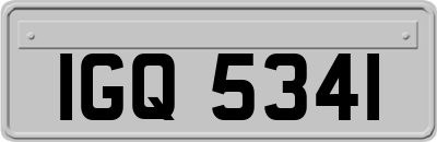 IGQ5341