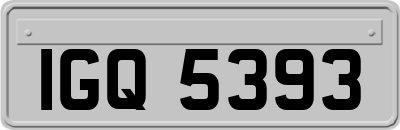 IGQ5393