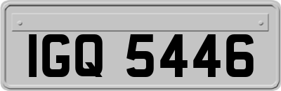 IGQ5446