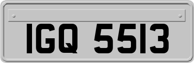 IGQ5513