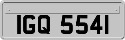 IGQ5541
