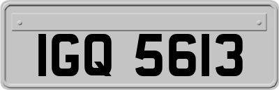 IGQ5613