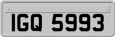IGQ5993