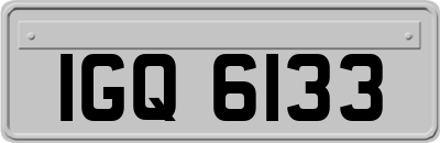 IGQ6133