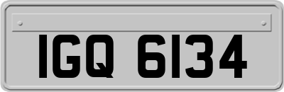 IGQ6134