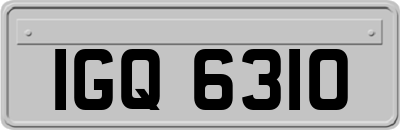 IGQ6310