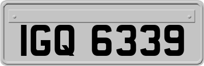 IGQ6339