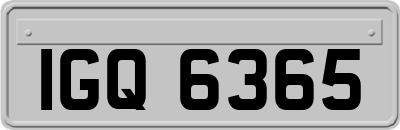 IGQ6365