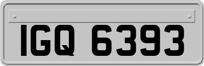 IGQ6393