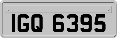 IGQ6395
