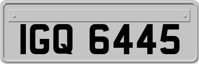 IGQ6445