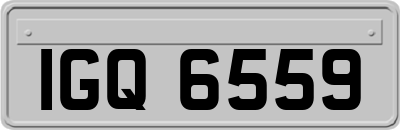 IGQ6559