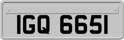IGQ6651