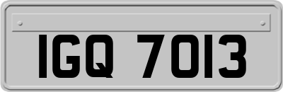 IGQ7013