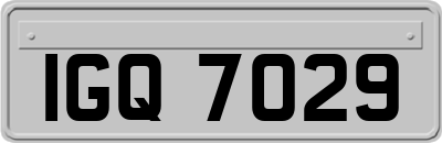 IGQ7029
