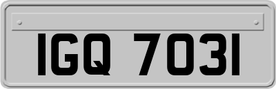 IGQ7031