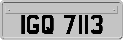 IGQ7113