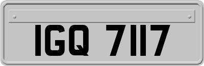 IGQ7117