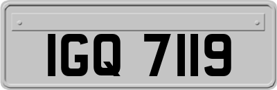 IGQ7119