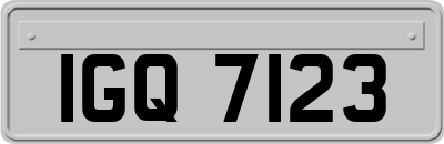 IGQ7123