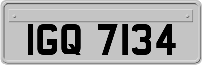 IGQ7134