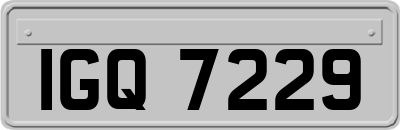 IGQ7229