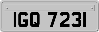 IGQ7231