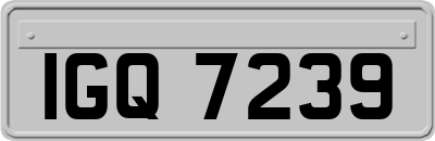 IGQ7239