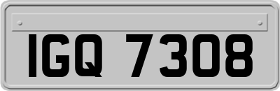 IGQ7308
